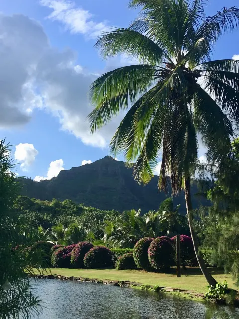 Smith S Tropical Paradise 10 Min Walk