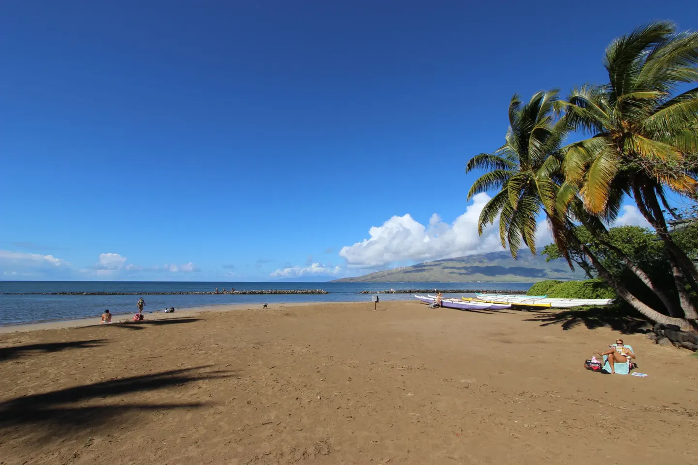 Kalepolepo Beach Park 5 Min Walk