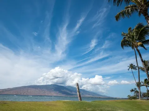 Waipuilani Park 15 Min Walk