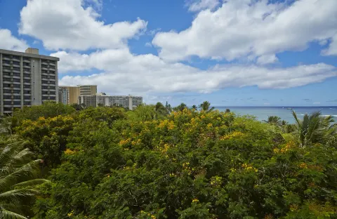 Ocean and treetop view from Hilton Hawaiian Village Waikiki Beach Resort guest room.