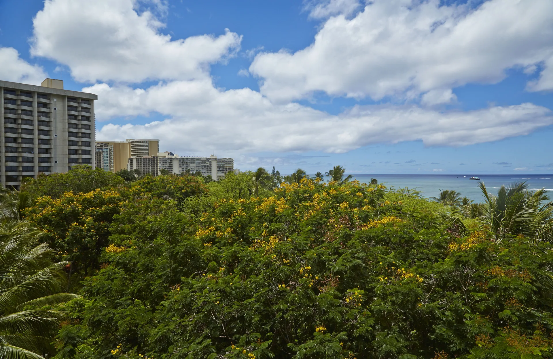 Ocean and treetop view from Hilton Hawaiian Village Waikiki Beach Resort guest room.