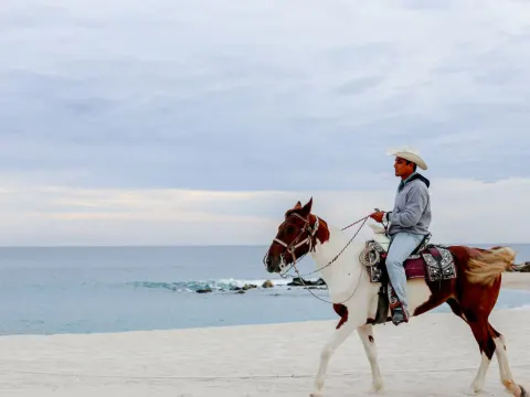 Horseback rider on a sandy beach by the ocean near Hilton Los Cabos.