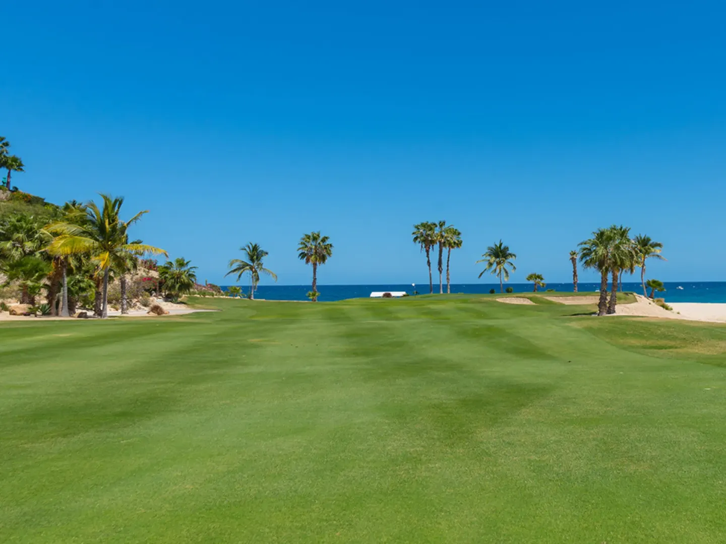 Ocean-facing golf fairway with palms and bunkers at Hilton Los Cabos.