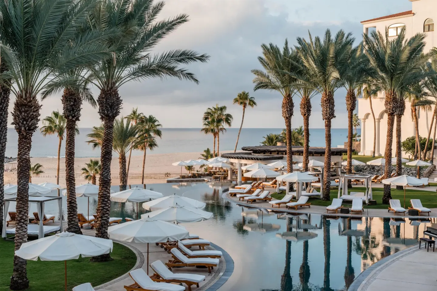 Palm-lined resort pool with loungers and ocean beyond at Hilton Los Cabos.