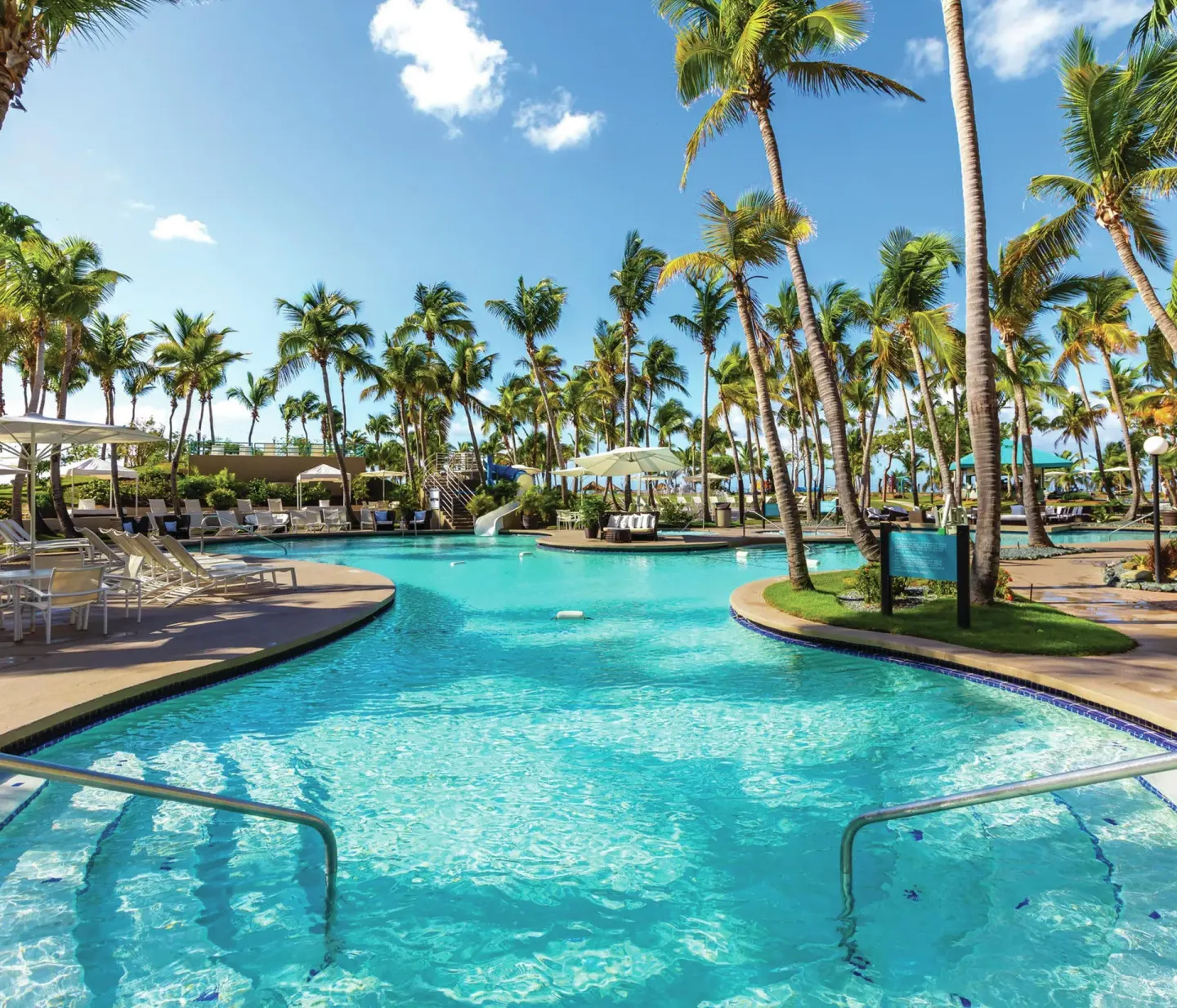 Curving pool, lounge chairs, and palms at Hilton Ponce Golf & Casino Resort.