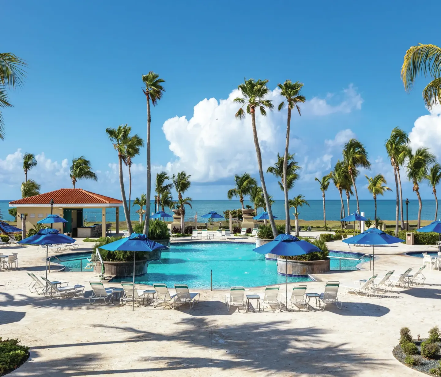 Main pool with palms and ocean backdrop at Hilton Ponce Golf & Casino Resort.