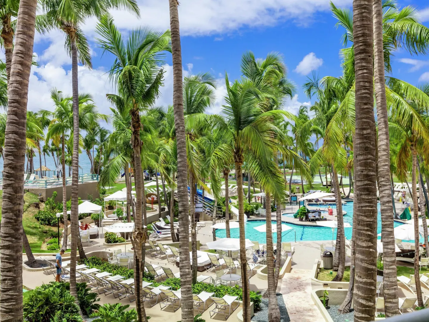 Palm-filled pool area with loungers and umbrellas at Hilton Ponce Golf & Casino Resort.