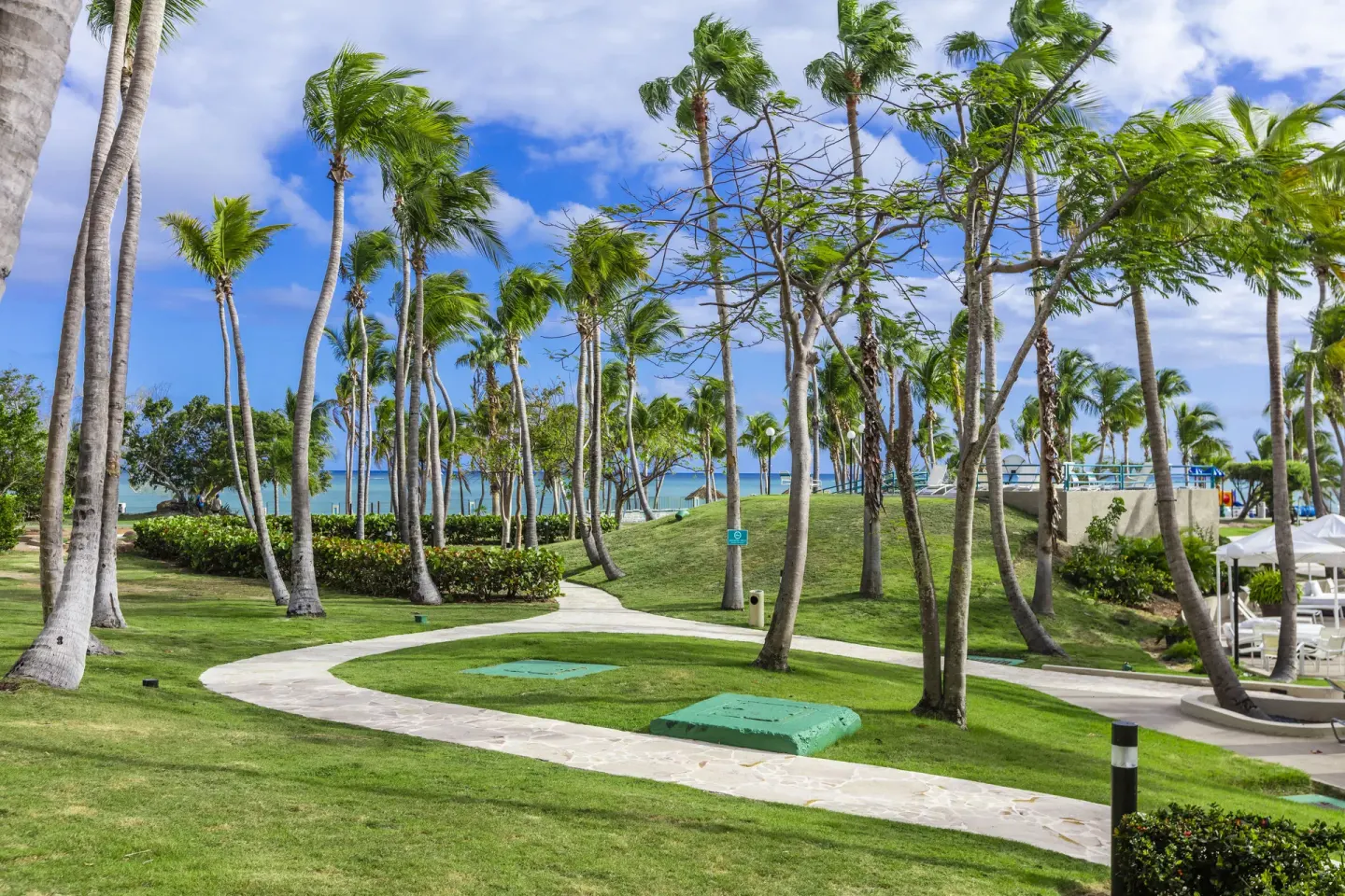 Palm-lined resort grounds with paths and ocean beyond at Hilton Ponce Golf & Casino Resort.