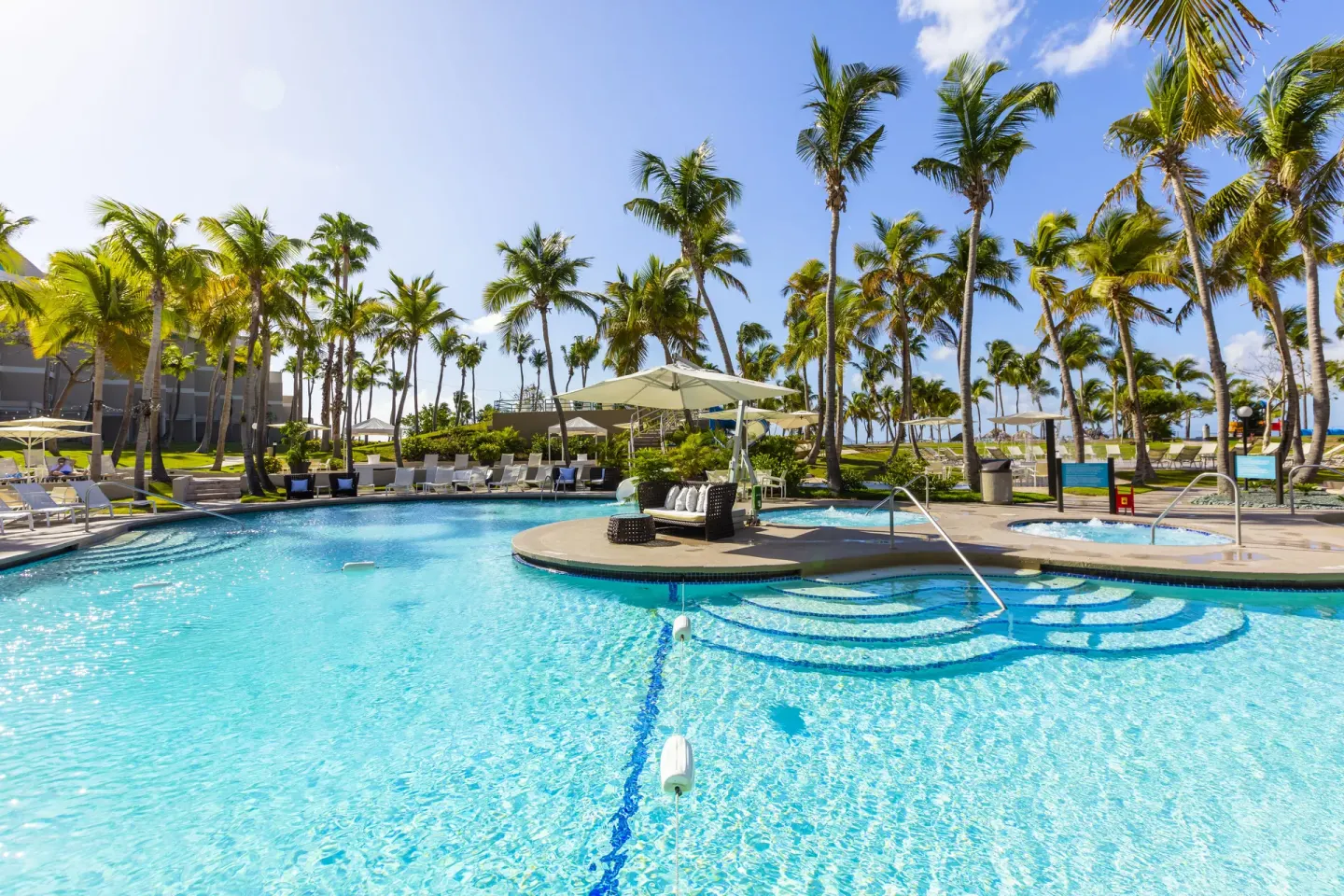 Pool with palm trees, loungers and a spa area at Hilton Ponce Golf & Casino Resort.