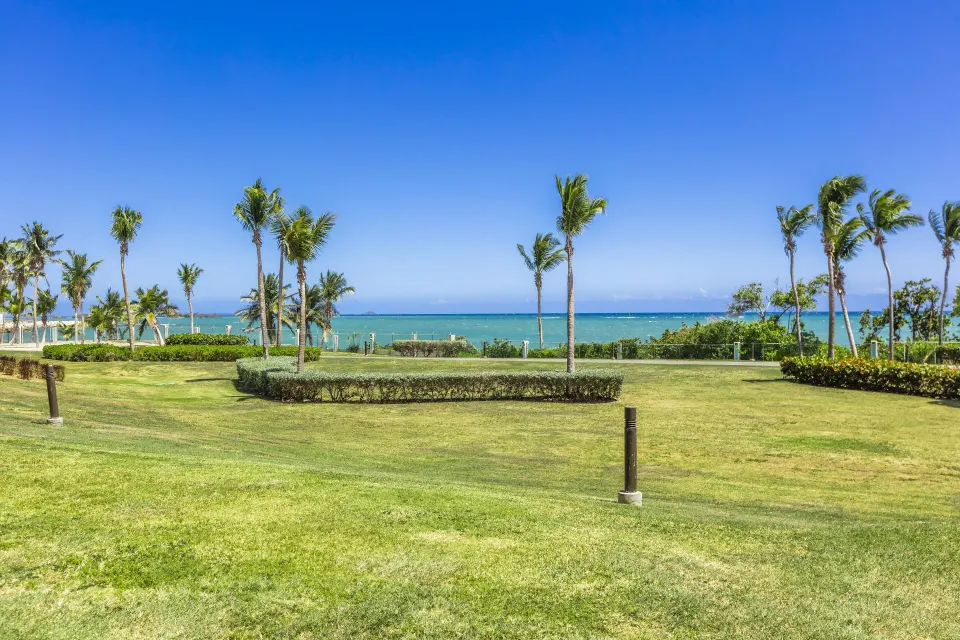 Ocean Tower suite view across lawn and palm trees to the ocean at Hilton Ponce Golf & Casino Resort.
