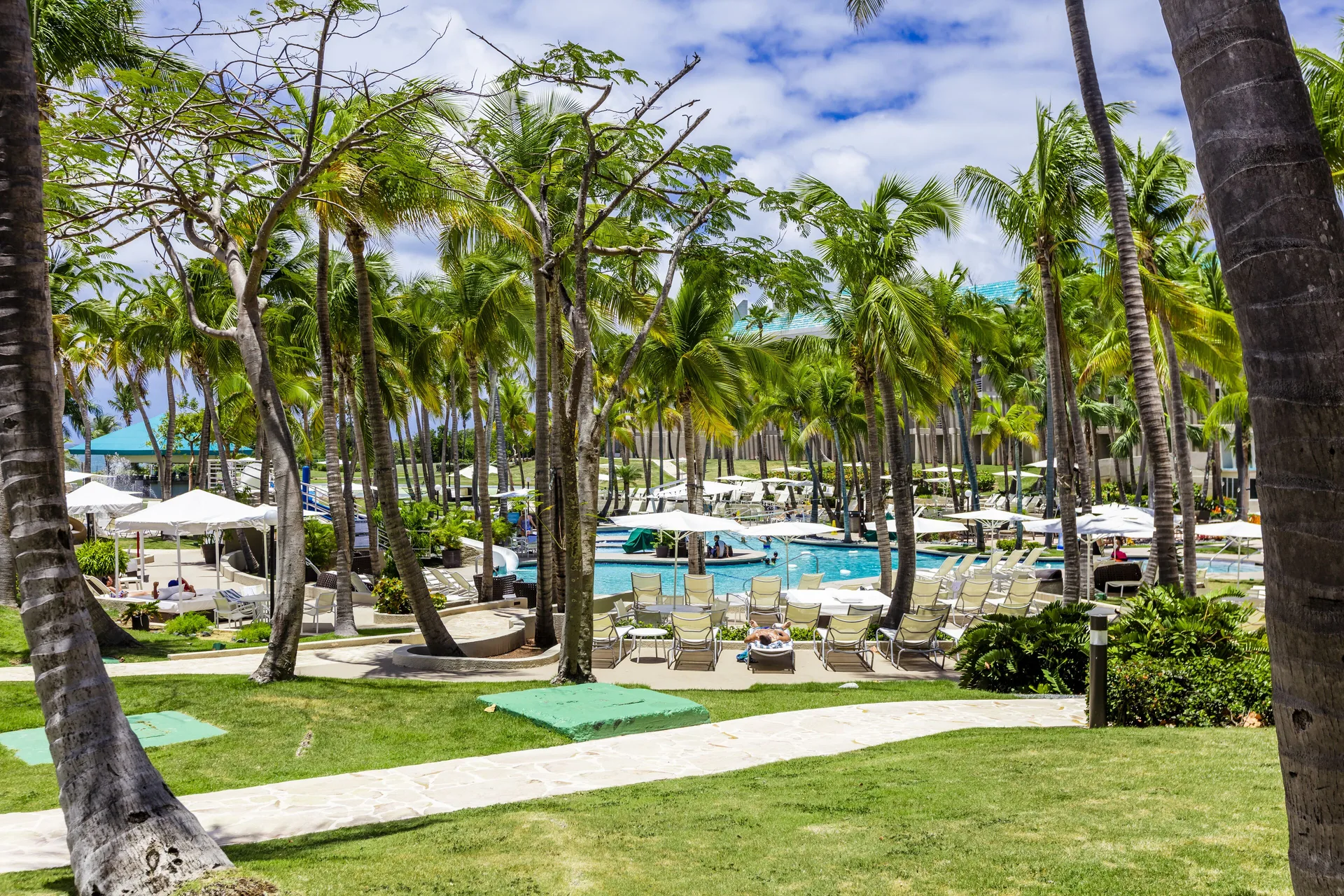 Pool view with palm trees and lounge chairs at Hilton Ponce Golf & Casino Resort.