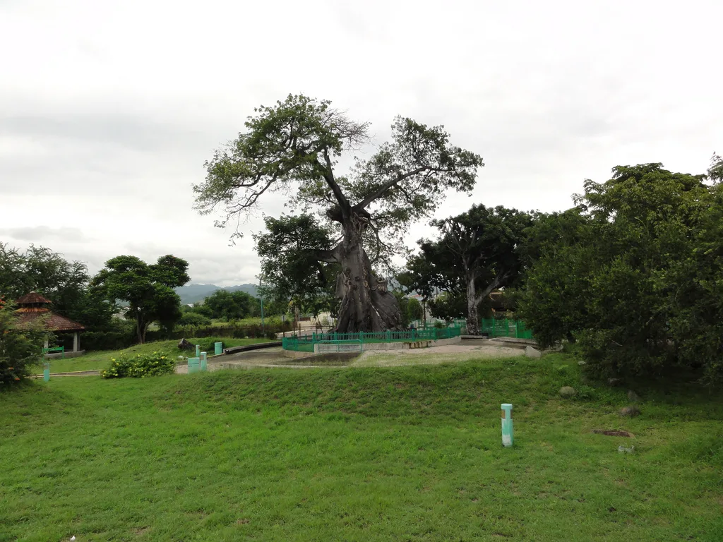 Parque De La Ceiba 10 Min Drive