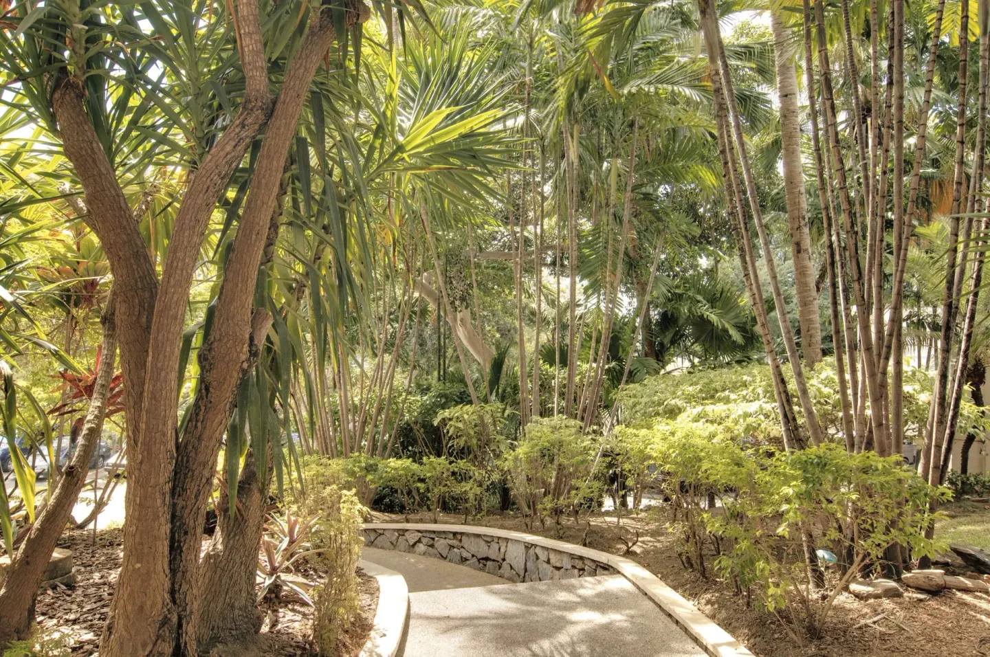 Garden pathway through tropical landscaping at Hilton Trinidad & Conference Centre.