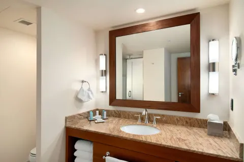 Deluxe Room bathroom vanity with mirror and stone counter at Hilton Trinidad & Conference Centre.