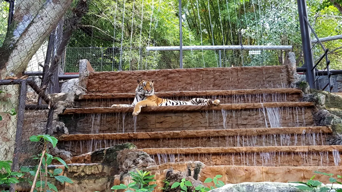 Emperor Valley Zoo 15 Min Walk