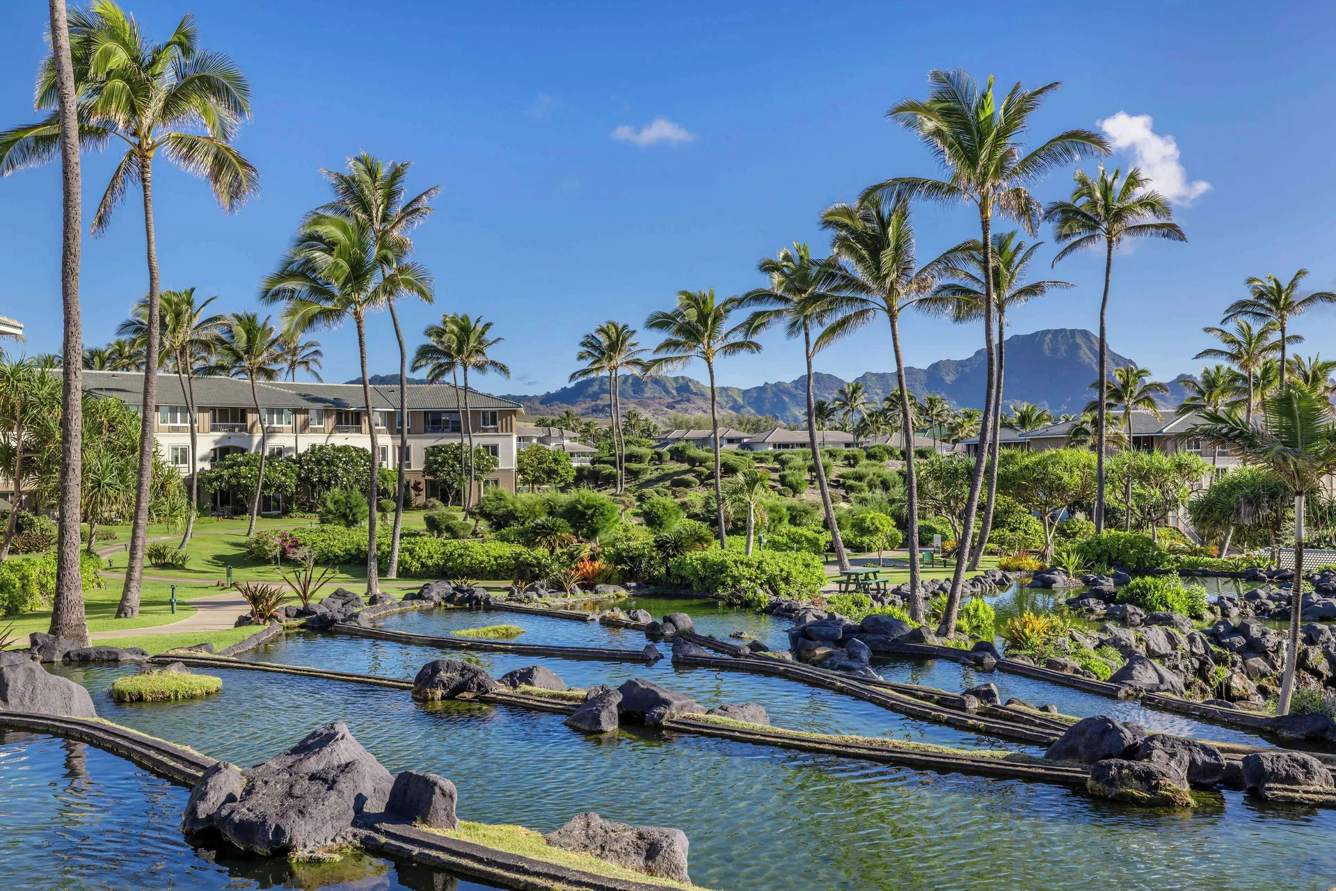 Lava-rock lagoon and palms at Hilton Vacation Club The Point At Poipu Kauai.