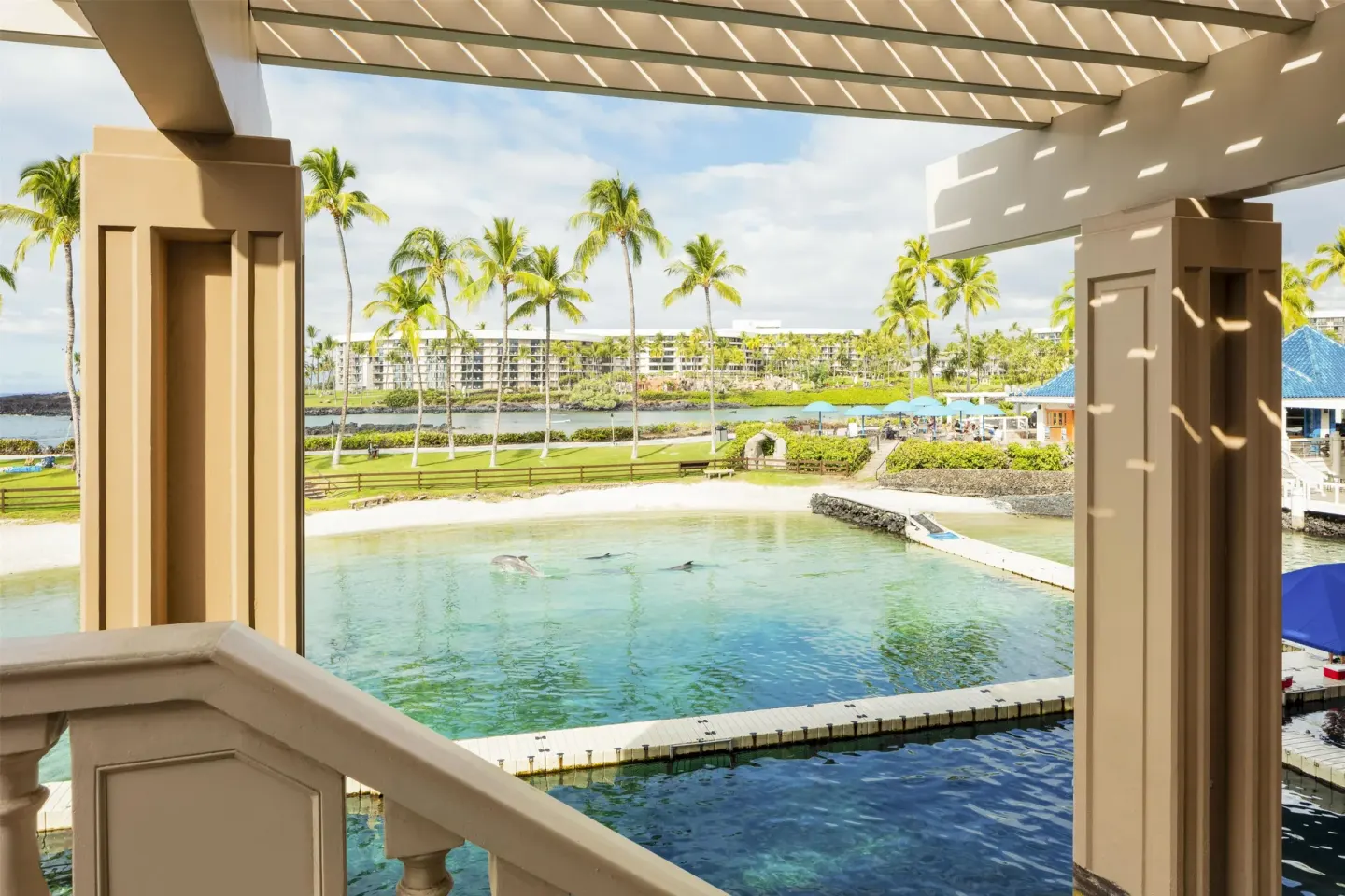 Suite balcony view over lagoon with dolphins and palms at Hilton Waikoloa Village.