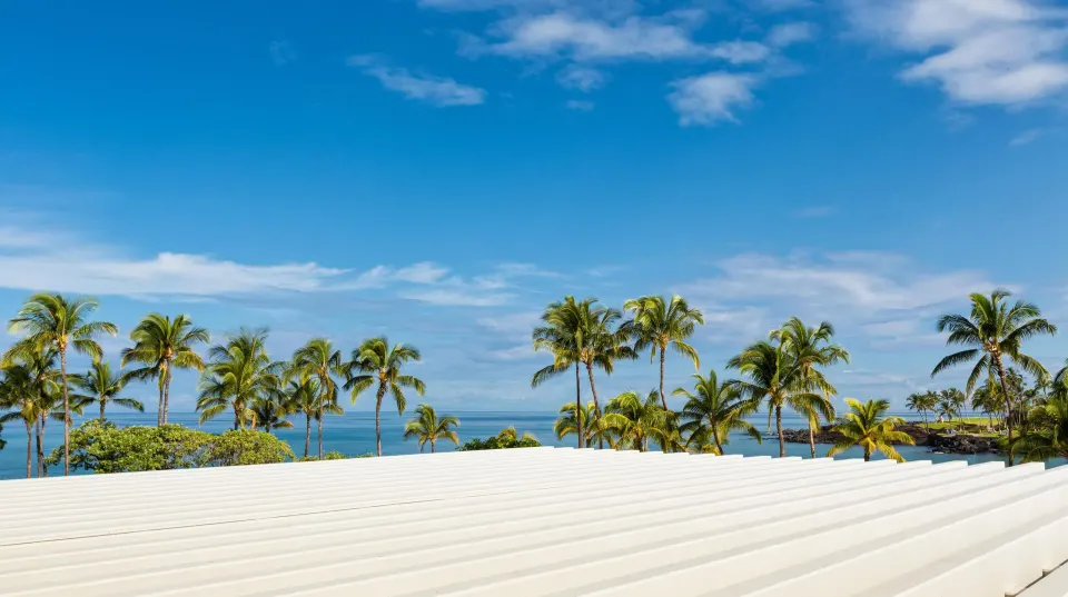 Ocean view with palms from the Makai One Bedroom Suite at Hilton Waikoloa Village