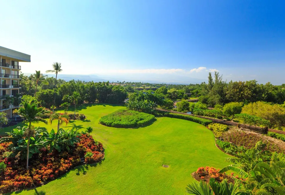 Resort View lawn, palms, and distant coast at Hilton Waikoloa Village.
