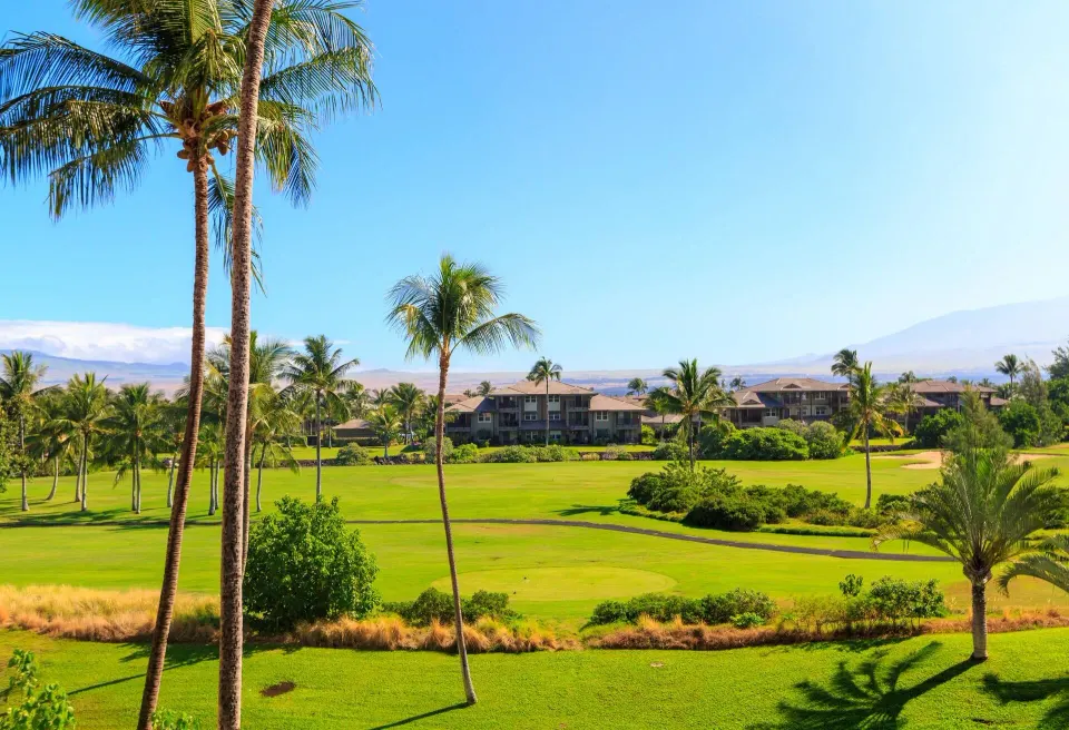 Resort View golf course and palms near Hilton Waikoloa Village.