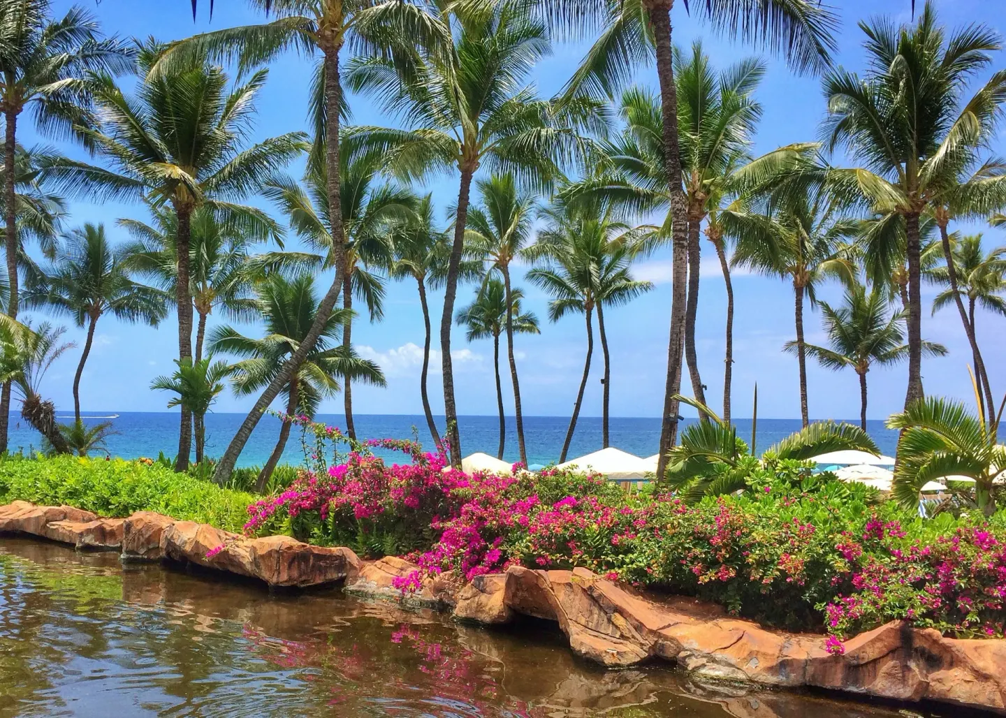 Palm trees, flowers, lagoon edge, and ocean at Ho‘olei Villas at Grand Wailea.