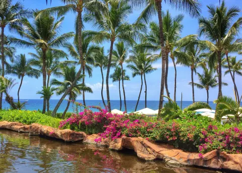 Palm trees, flowers, lagoon edge, and ocean at Ho‘olei Villas at Grand Wailea.