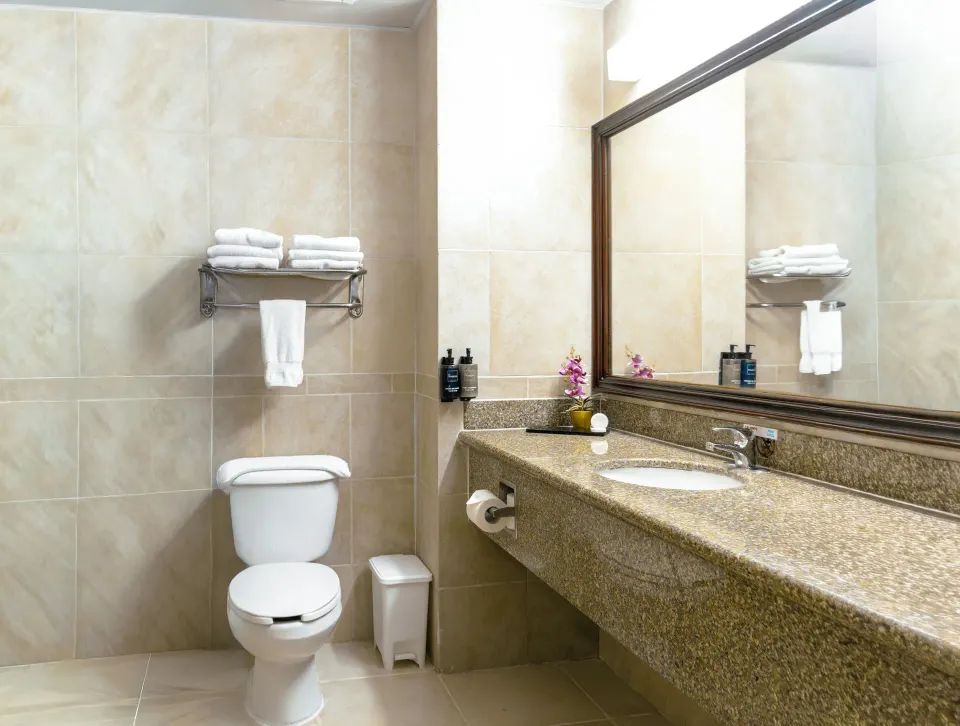 Family Suite bathroom vanity and toilet at Hodelpa Garden Suites Golf & Convention Center.