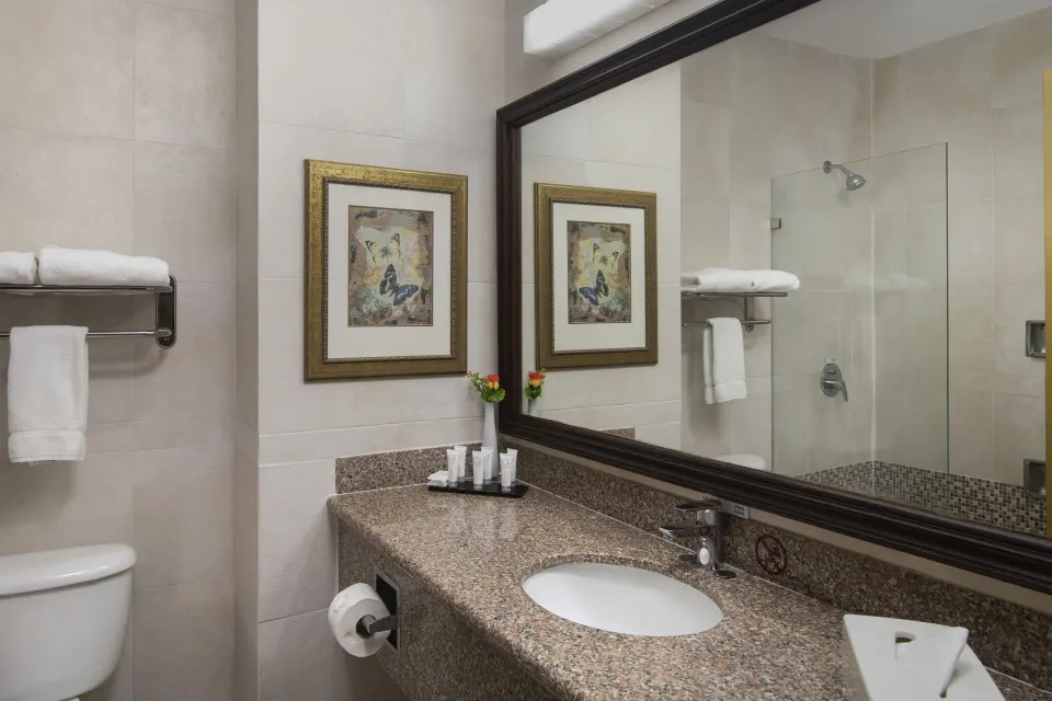 Suite bathroom with granite vanity and glass shower at Hodelpa Garden Suites Golf & Convention Center.