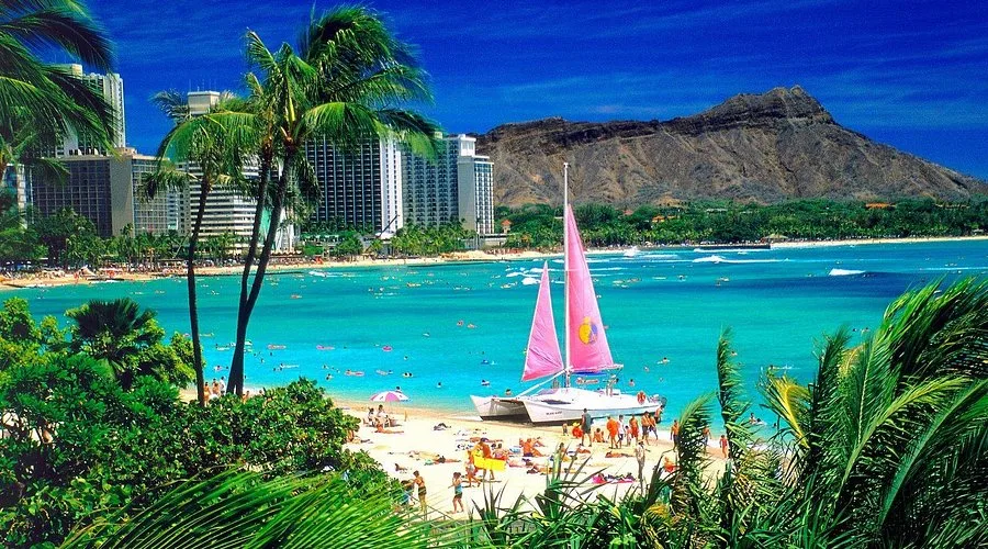 Waikiki Beach Walk 5 Min Walk