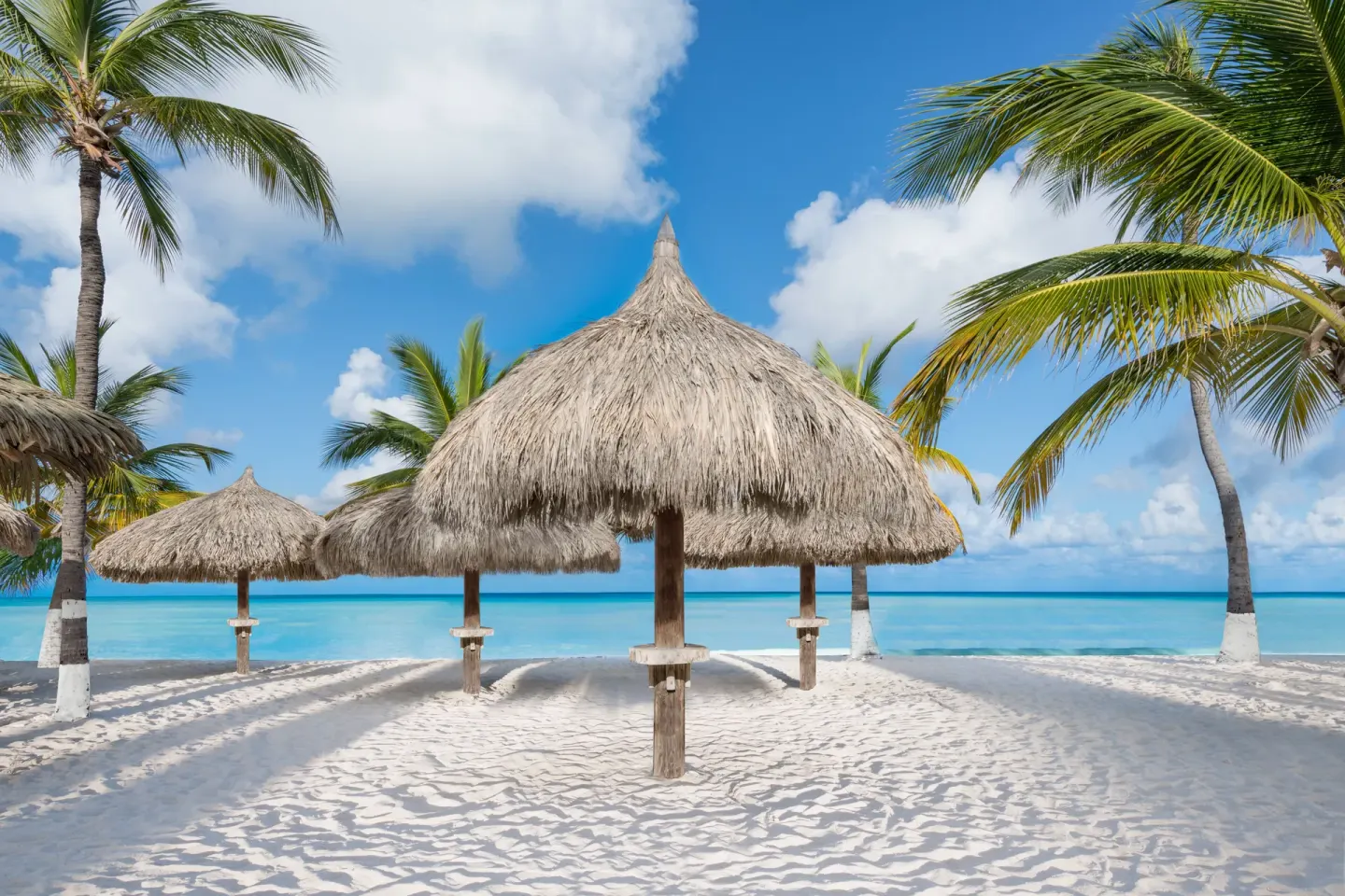 Thatched beach palapas and palm trees by the sea at Holiday Inn Resort Aruba - Beach Resort & Casino.