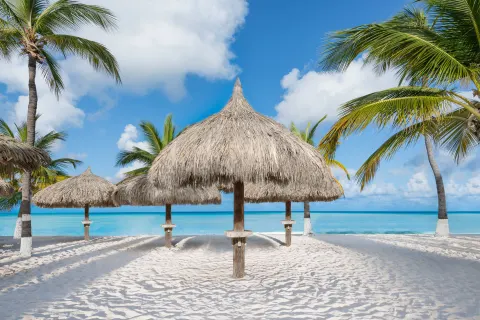 Thatched beach palapas and palm trees by the sea at Holiday Inn Resort Aruba - Beach Resort & Casino.