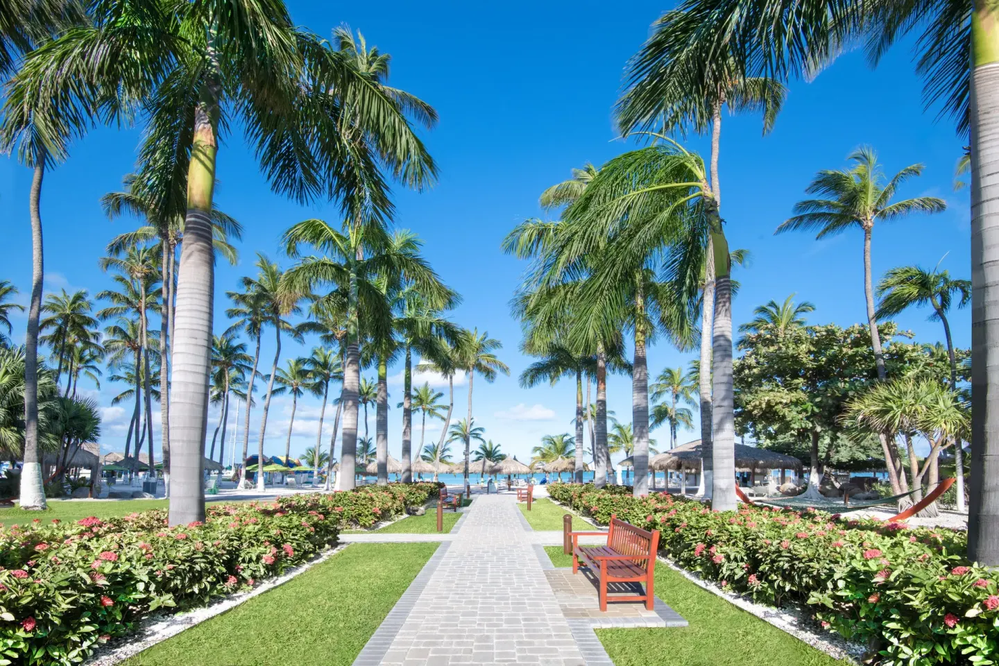 Palm garden walkway leading toward the beach at Holiday Inn Resort Aruba - Beach Resort & Casino.