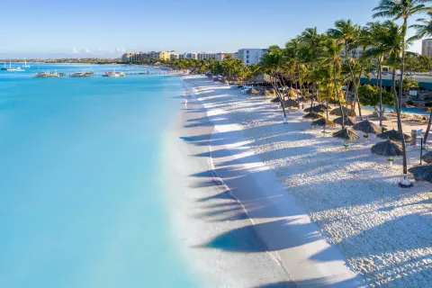 Palm-lined beach with palapas and calm blue water at Holiday Inn Resort Aruba - Beach Resort & Casino.