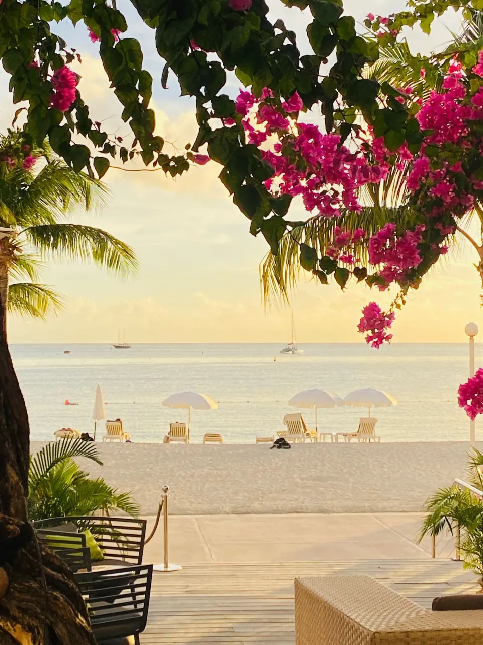 Bougainvillea frames beach chairs and calm water at Holland House Beach Hotel.