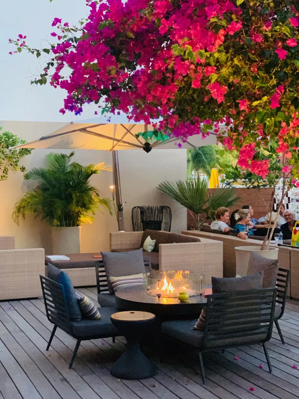 Outdoor lounge seating and fire table under bougainvillea at Holland House Beach Hotel.