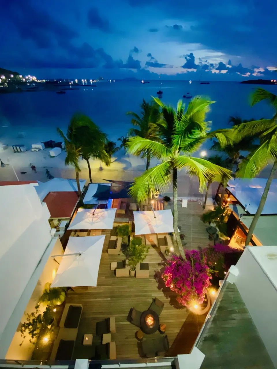 Night view of palms, terrace seating, and the bay at Holland House Beach Hotel.