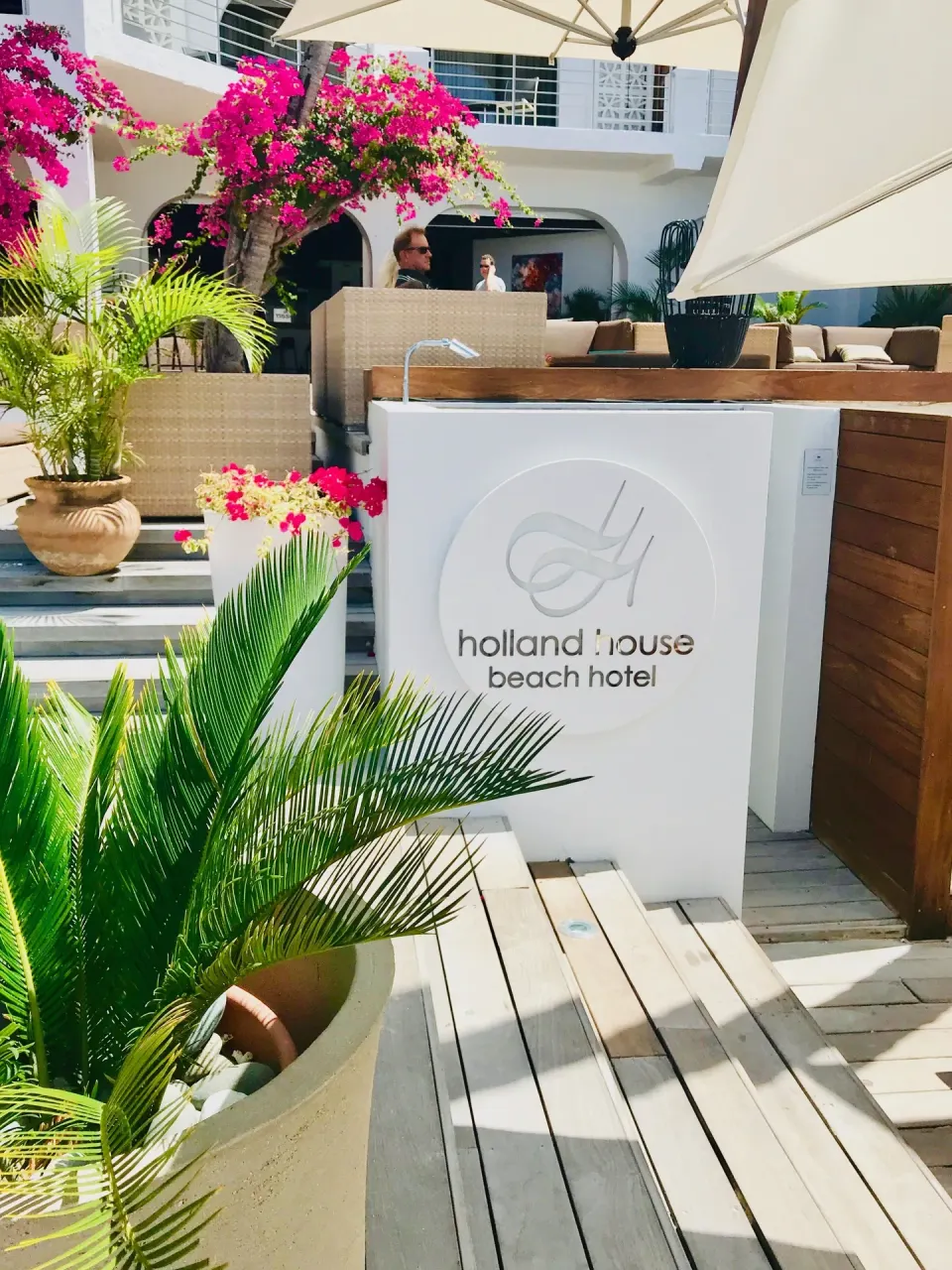 A Holland House Beach Hotel sign stands beside palms and flowering plants on the terrace.