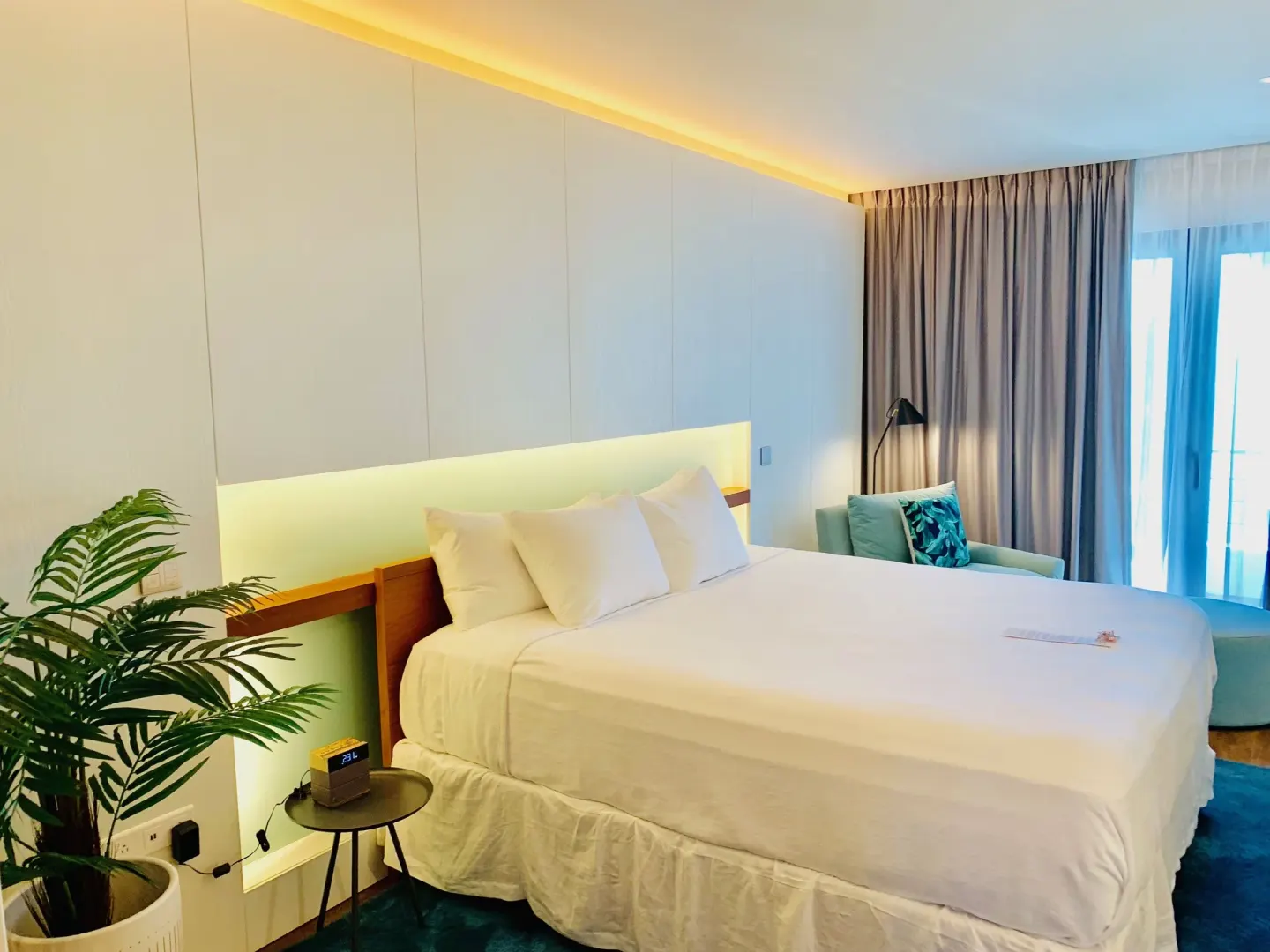 Executive Suite City View king bed with plant and window seating at Holland House Beach Hotel.