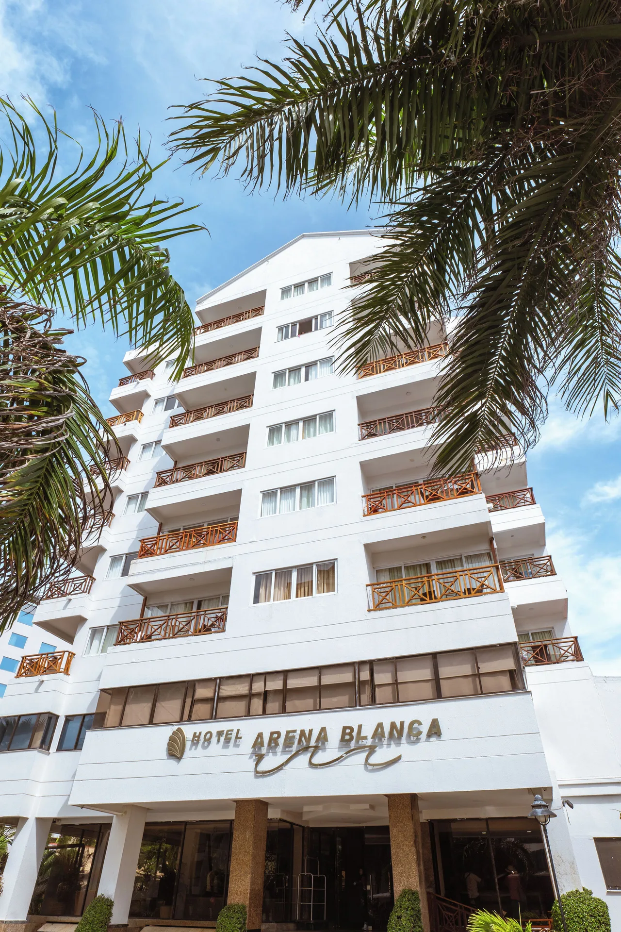 Main entrance facade and hotel sign framed by palm fronds at Hotel Arena Blanca.