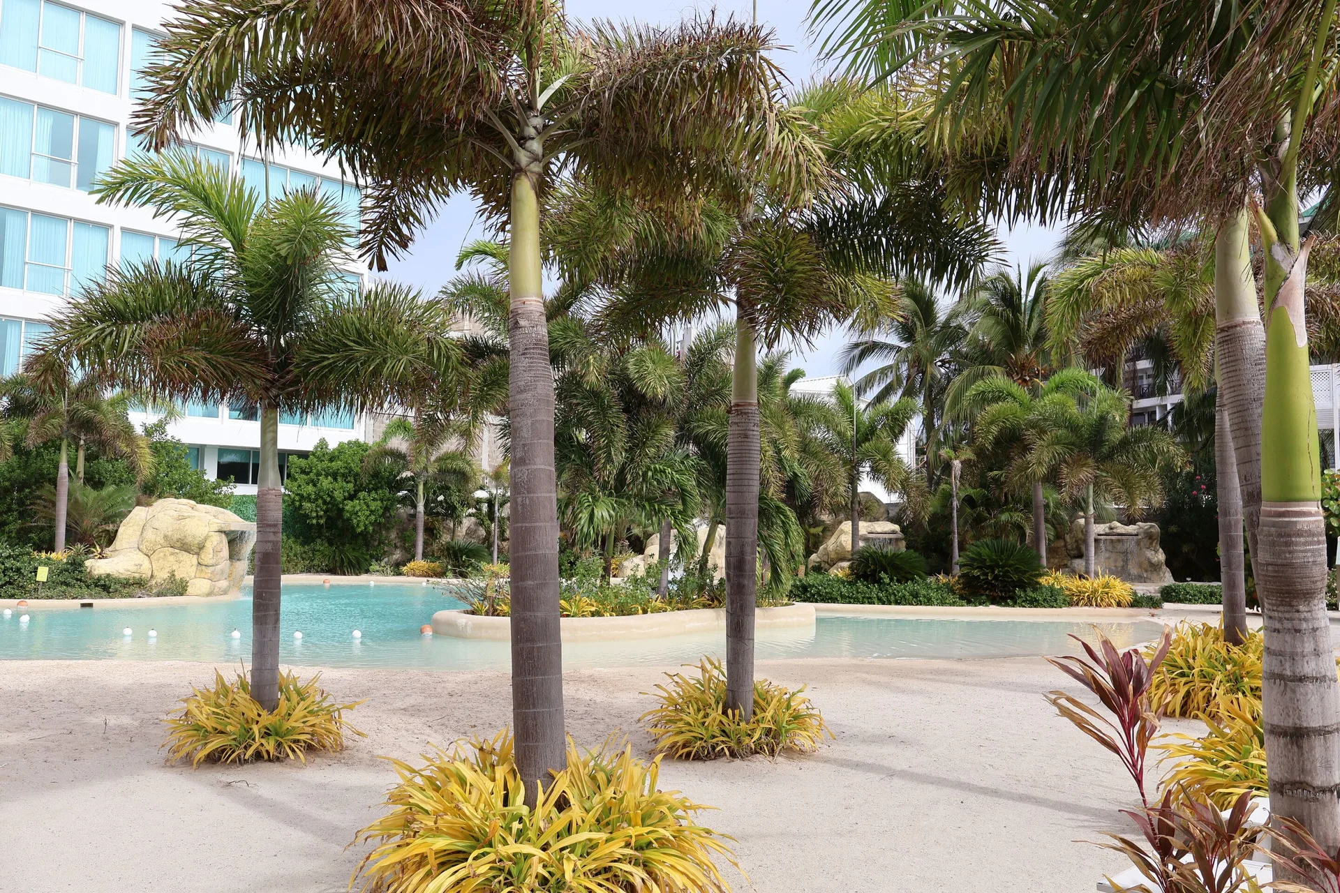 Palm trees and lagoon-style pool landscaping at Hotel Arena Blanca.