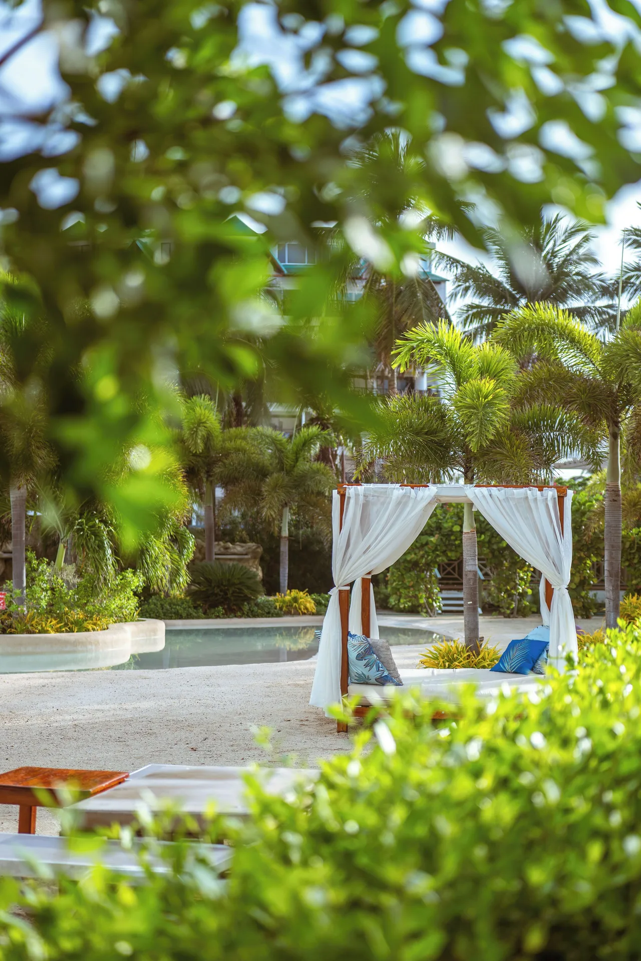 White cabana framed by greenery near the pool at Hotel Arena Blanca.
