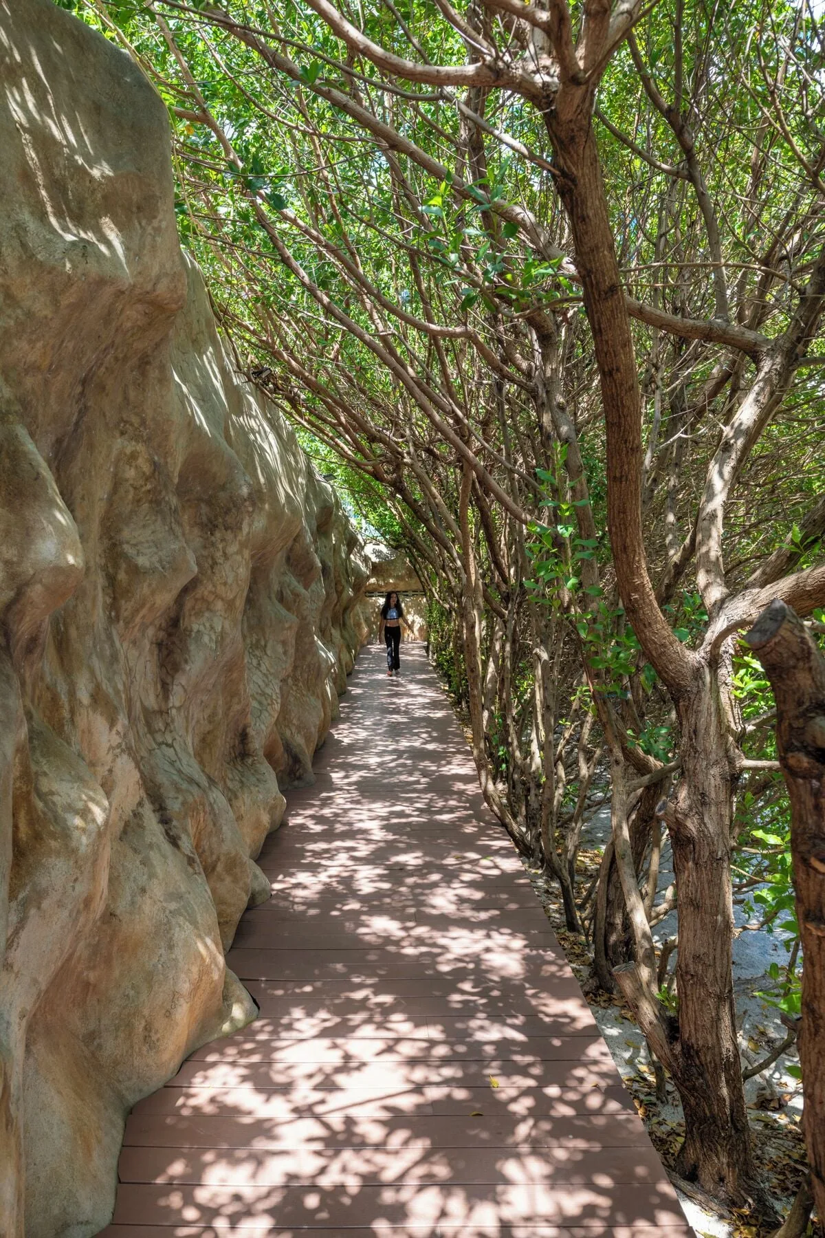 Shaded walkway between rock walls and trees at Hotel Arena Blanca.