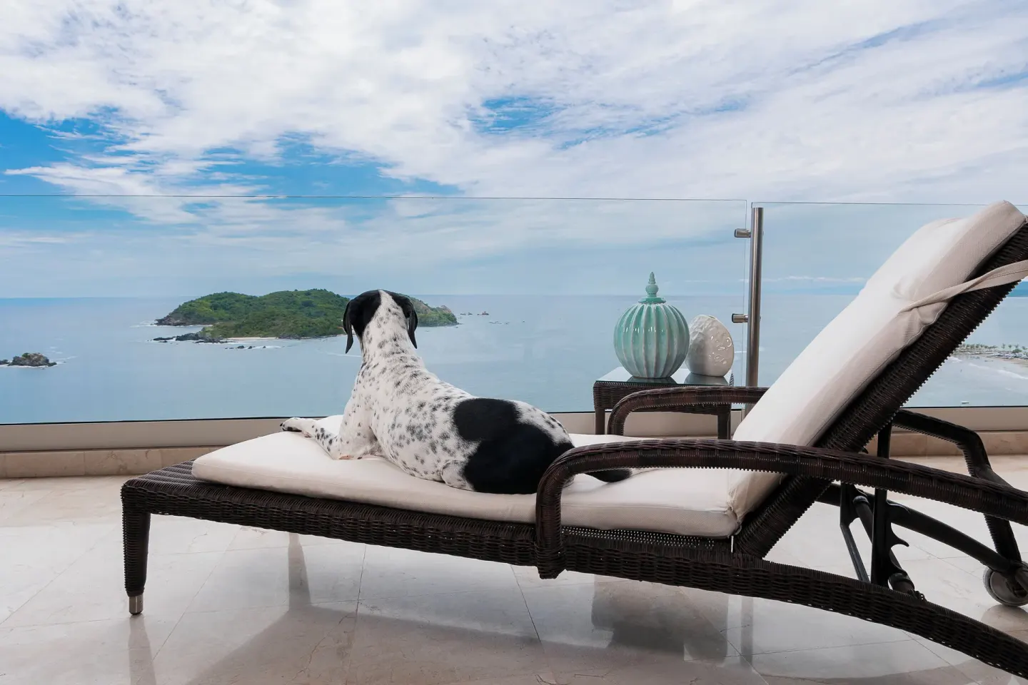 Dog resting on a balcony lounge chair with ocean views at Hotel Azul Ixtapa Grand Resort Spa.