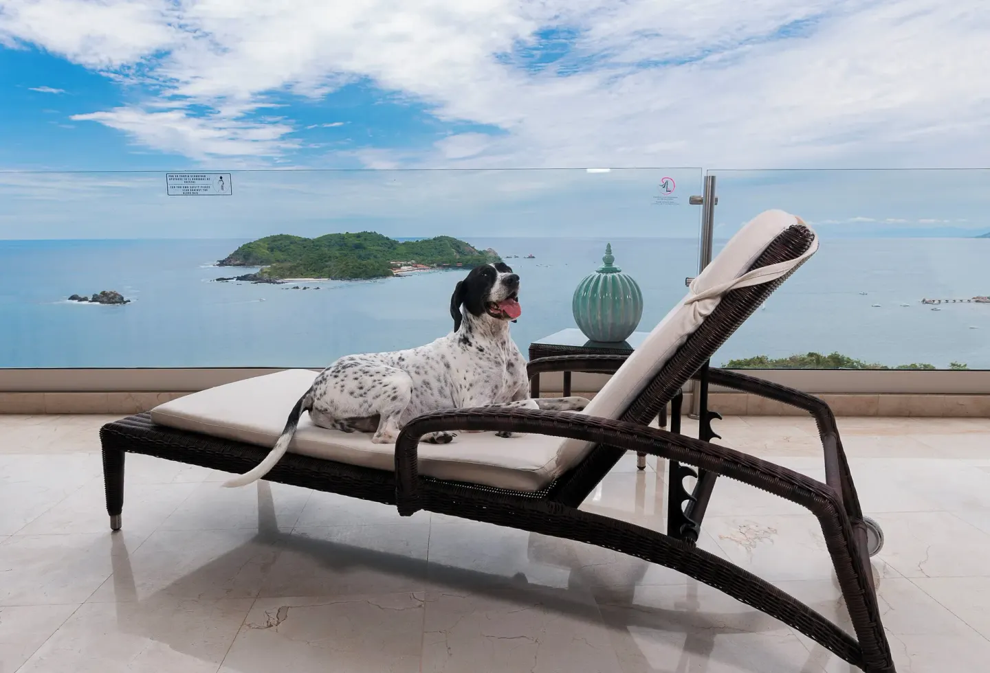 Dog resting on a terrace lounge chair with ocean view at Hotel Azul Ixtapa Grand Resort Spa.