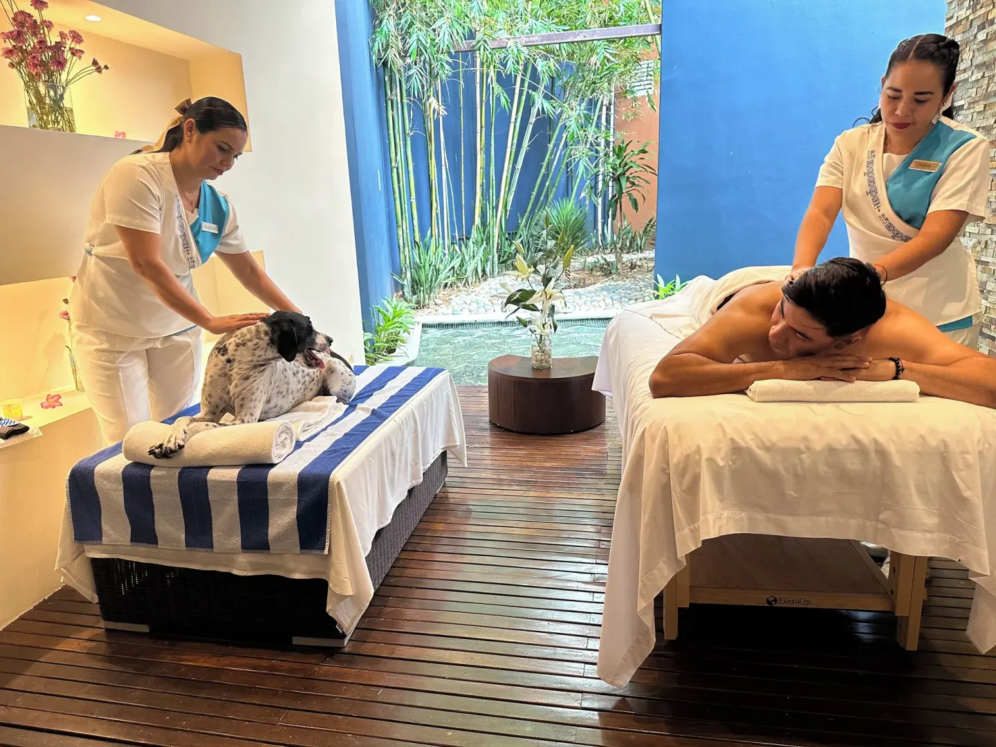 Pet and guest massage setup inside the spa at Hotel Azul Ixtapa Grand Resort Spa.