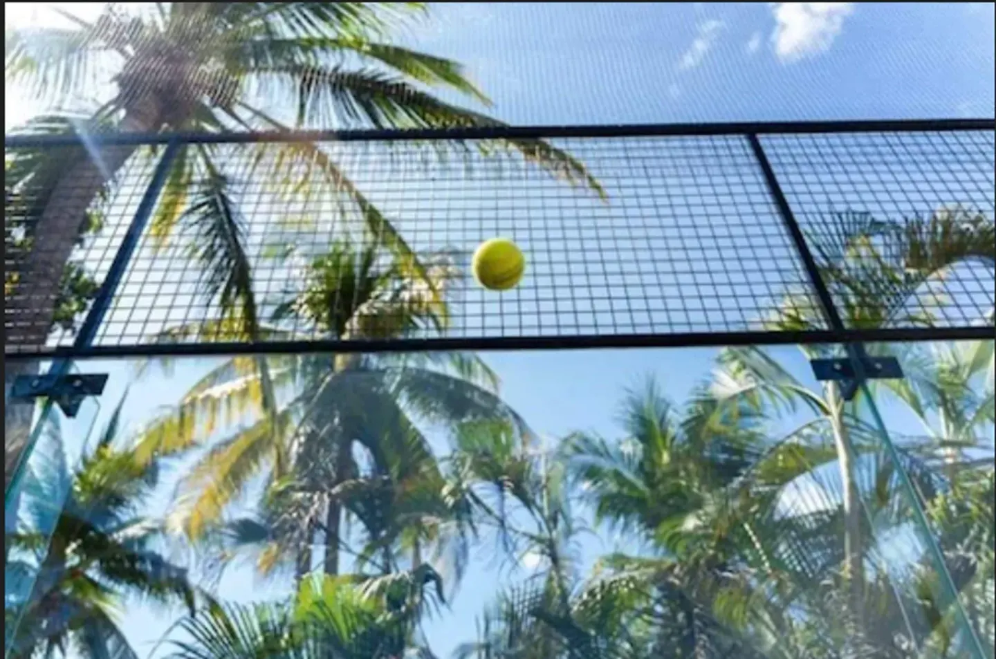 Tennis ball in front of a court fence and palm trees at Hotel Castillo Huatulco & Beach Club.