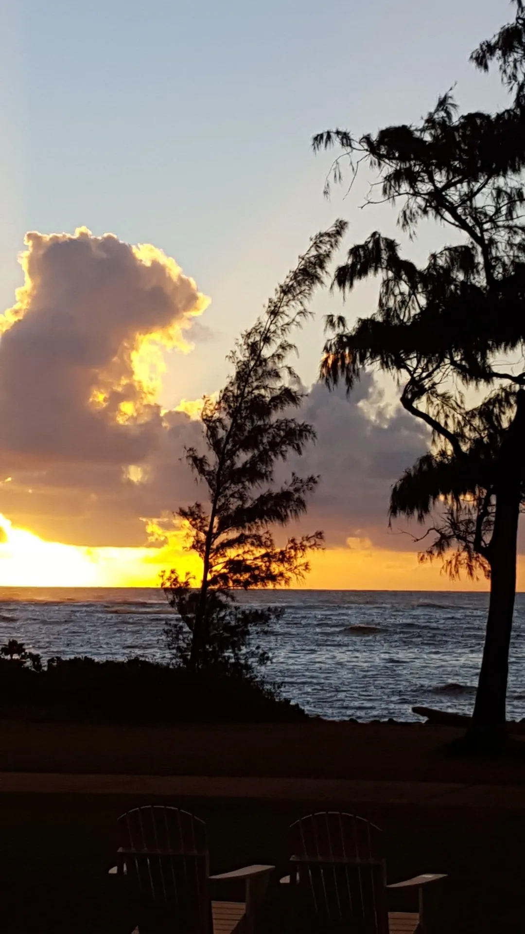 Chairs face an ocean sunset beneath trees at Hotel Coral Reef.