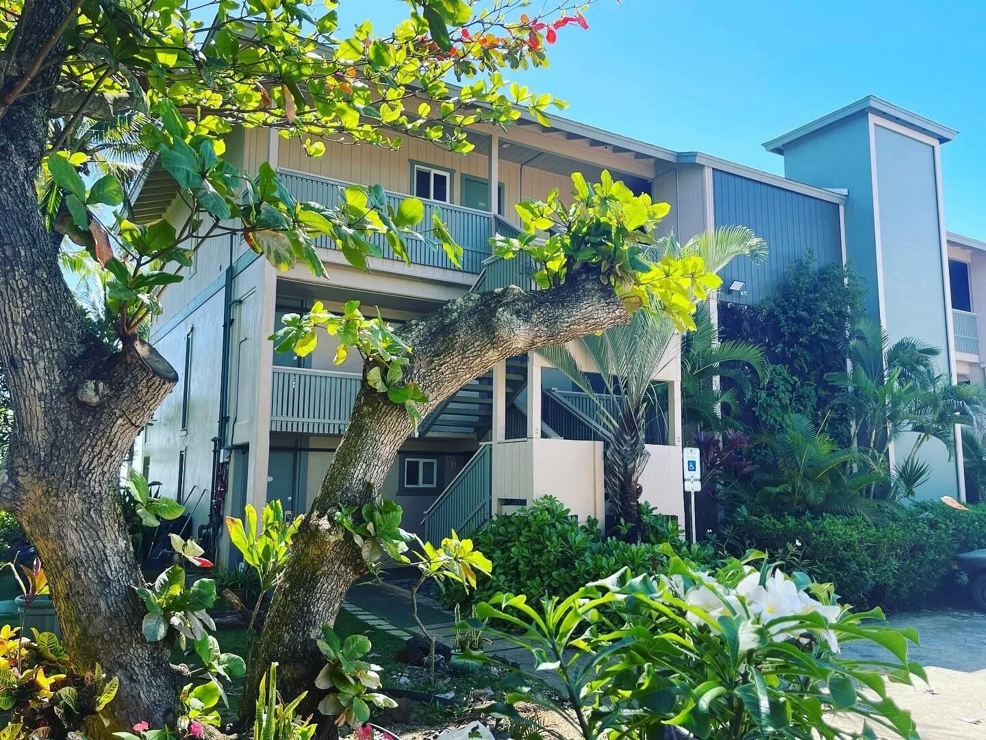Exterior resort building with balconies and tropical landscaping at Hotel Coral Reef.