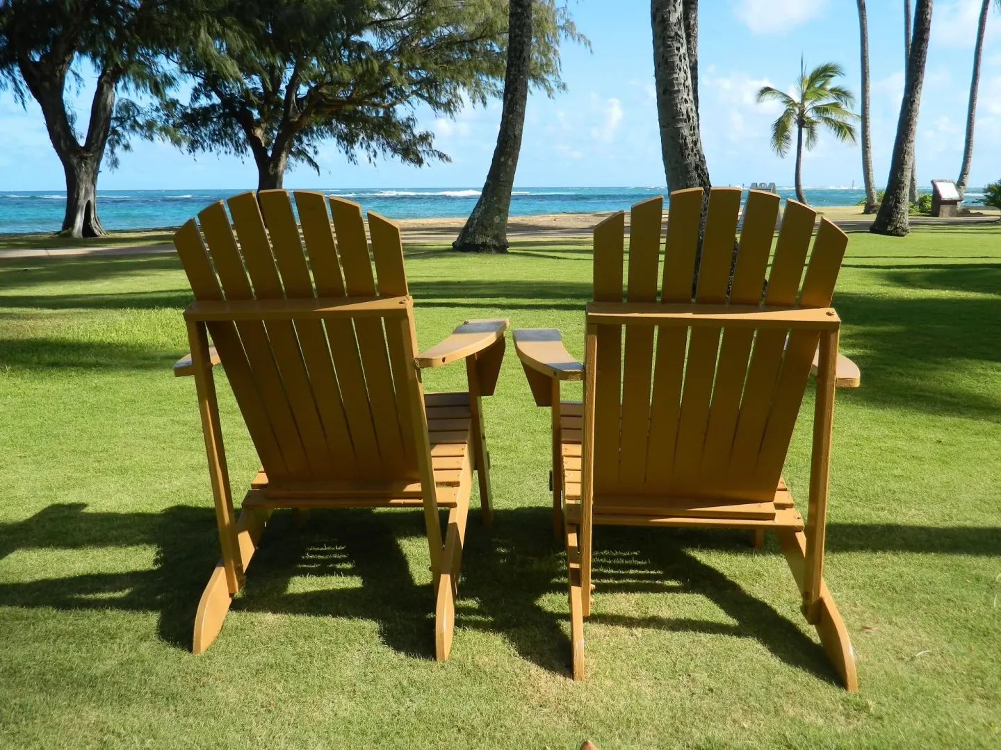 Two wooden chairs on a lawn facing palm trees and the ocean at Hotel Coral Reef.