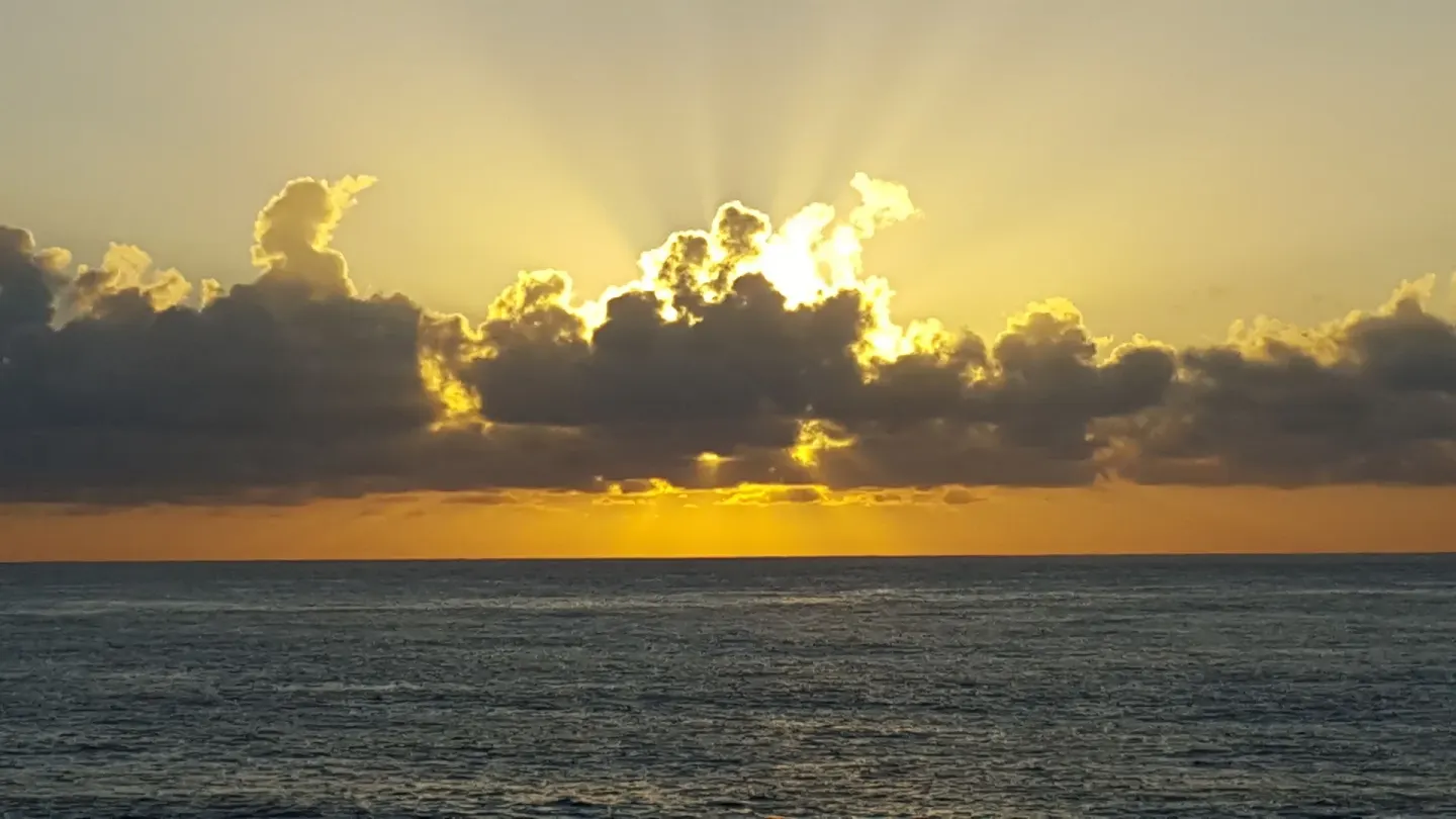Golden sunrise over the ocean horizon at Hotel Coral Reef.